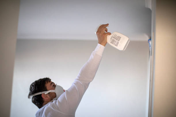 Best Mold Removal Company Near Me  in Craigsville, WV