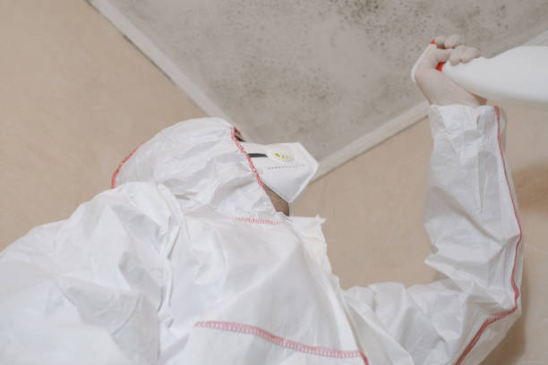 Best Toxic Mold Removal  in Craigsville, WV