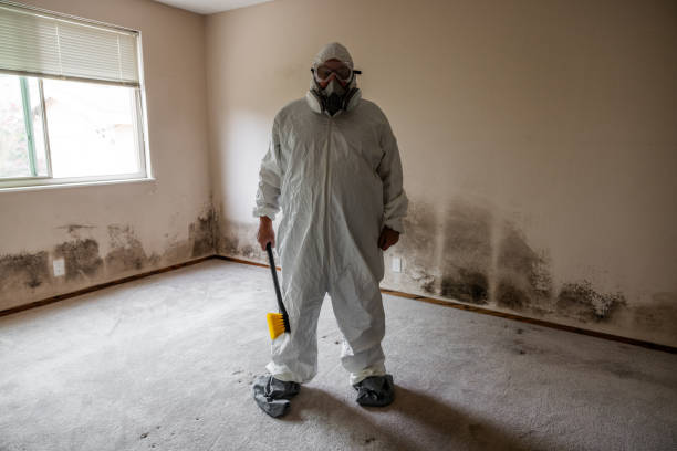 Best Mold Cleaning Services  in Craigsville, WV